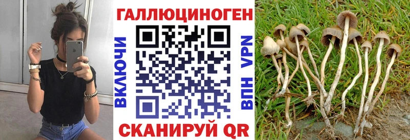 Псилоцибиновые грибы MAGIC MUSHROOMS Валдай