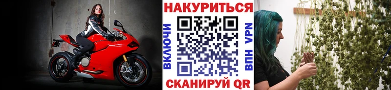 Конопля Bruce Banner  купить   Валдай 